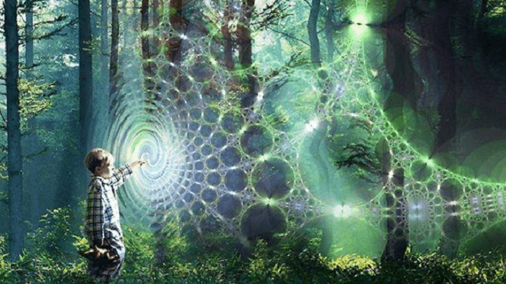 Effetto Pigmalione e Fisica Quantistica