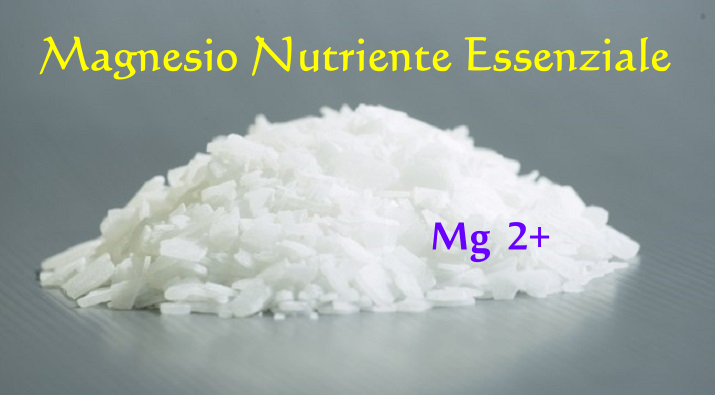 Magnesio Nutriente Essenziale