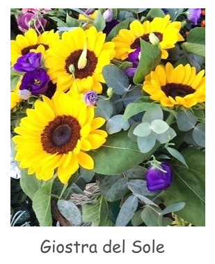 giostra-del-sole