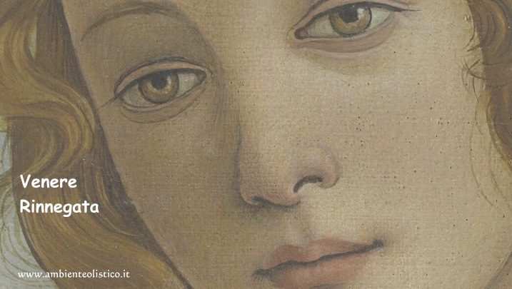 Venere Rinnegata